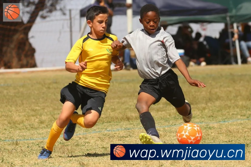 博鱼官网登录入口品牌故事