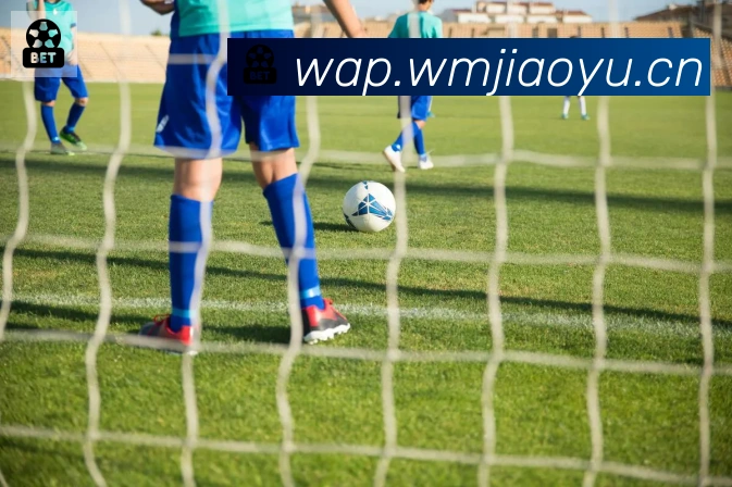 博鱼官网登录入口服务体系