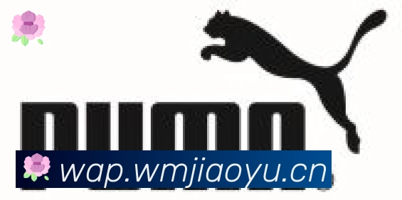 博鱼官网登录入口合作伙伴