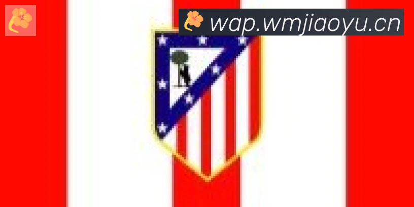 博鱼官网登录入口合作伙伴