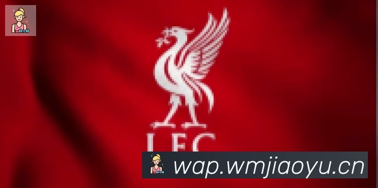 博鱼官网登录入口合作伙伴